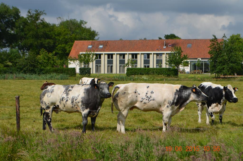 Cleythil Hotel Maldegem Extérieur photo